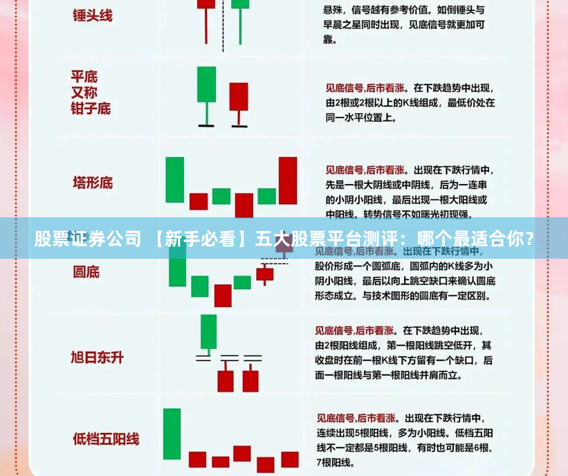 股票证券公司 【新手必看】五大股票平台测评：哪个最适合你？
